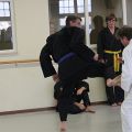 IMG_8723.jpg